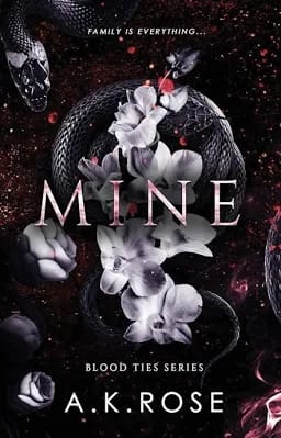 Mine cover